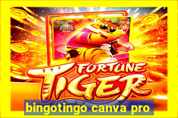 bingotingo canva pro